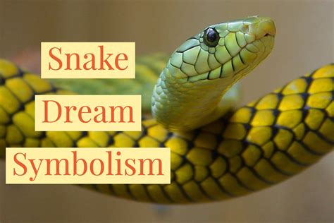 giant snake dream meaning.